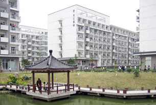 ������ϢѧԺ����ϵ